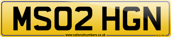 MS02 HGN