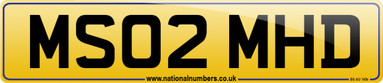 MS02 MHD