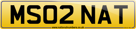 MS02 NAT