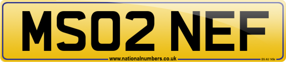 MS02 NEF
