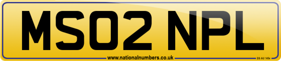 MS02 NPL