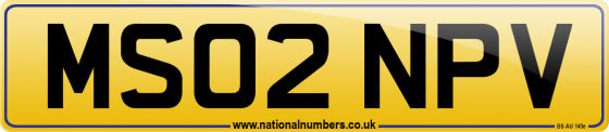 MS02 NPV