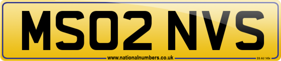 MS02 NVS