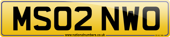 MS02 NWO