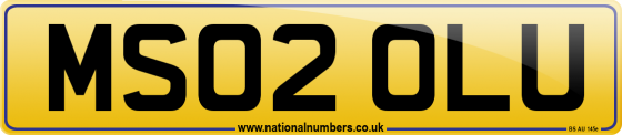 MS02 OLU