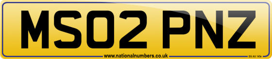 MS02 PNZ