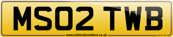 MS02 TWB