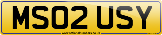 MS02 USY
