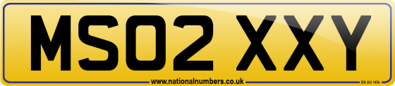 MS02 XXY