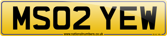 MS02 YEW