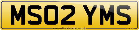 MS02 YMS