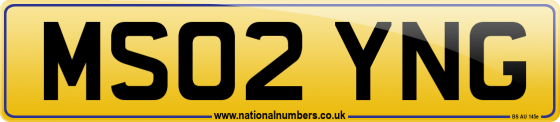 MS02 YNG