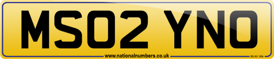 MS02 YNO