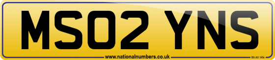 MS02 YNS