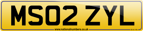 MS02 ZYL