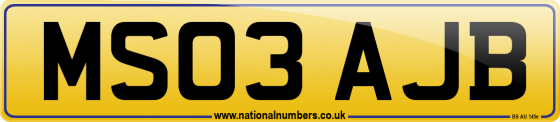 MS03 AJB