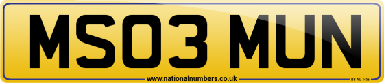MS03 MUN