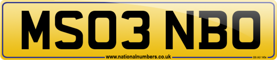 MS03 NBO
