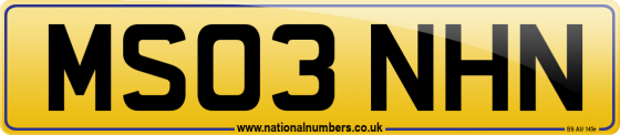 MS03 NHN