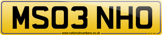 MS03 NHO