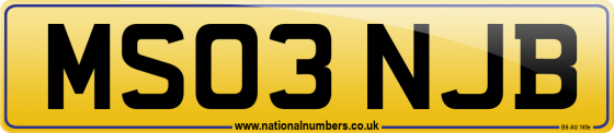 MS03 NJB