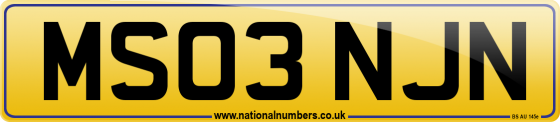 MS03 NJN