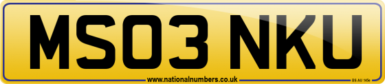 MS03 NKU