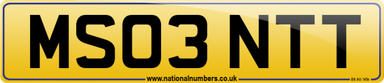 MS03 NTT