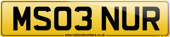 MS03 NUR
