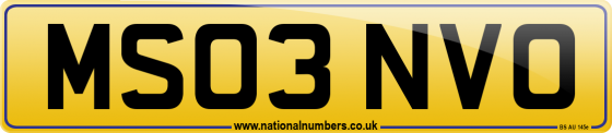 MS03 NVO