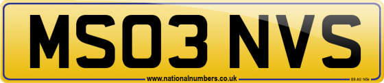 MS03 NVS