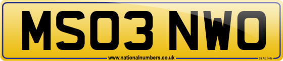 MS03 NWO