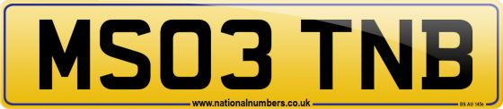 MS03 TNB