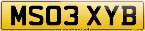 MS03 XYB