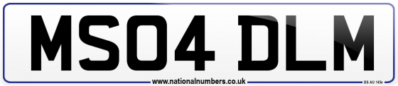 MS04 DLM