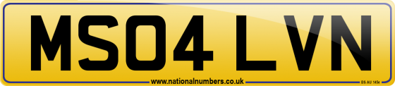 MS04 LVN