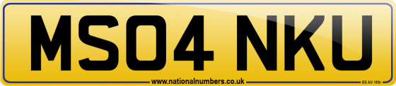 MS04 NKU