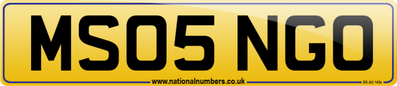 MS05 NGO