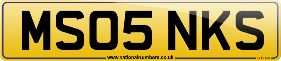 MS05 NKS