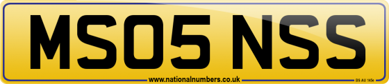 MS05 NSS