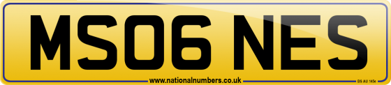 MS06 NES