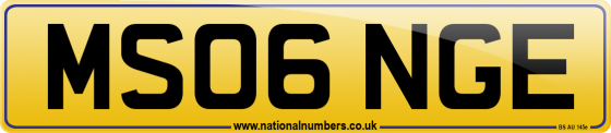 MS06 NGE