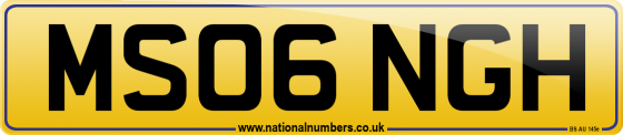 MS06 NGH