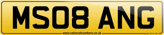 MS08 ANG