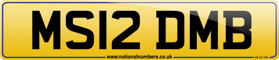 MS12 DMB