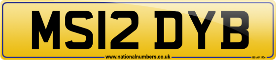 MS12 DYB