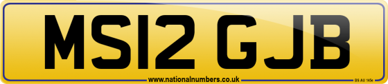 MS12 GJB