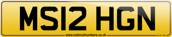MS12 HGN