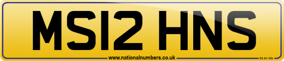 MS12 HNS