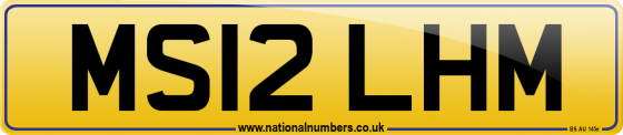 MS12 LHM